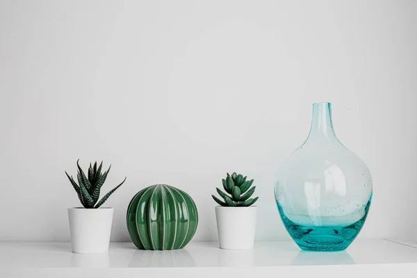 Decorative Artificial Ceramic Metal Cactus Succulent Cactuses White Wall Background — Stock fotografie