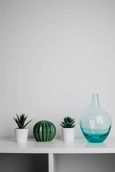 Decorative Artificial Ceramic Metal Cactus Succulent Cactuses White Wall Background — Stock fotografie