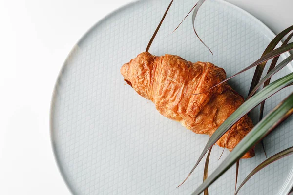 Delicious Fresh Croissant White Light Grey Background Croissant Palm Tree — Fotografia de Stock