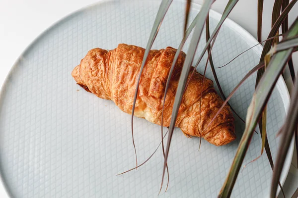 Delicious Fresh Croissant White Light Grey Background Croissant Palm Tree — Fotografia de Stock