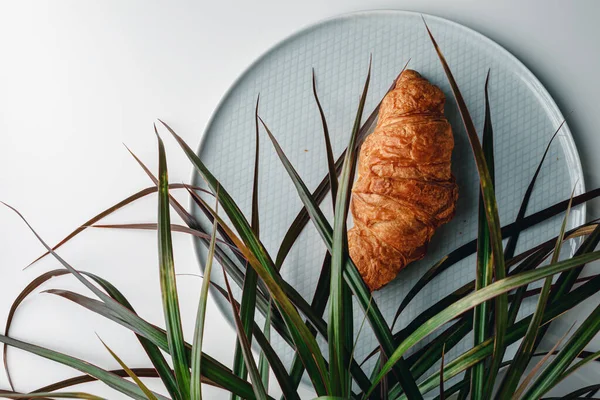 Delicioso Cruasán Fresco Sobre Fondo Blanco Gris Claro Croissant Con —  Fotos de Stock