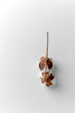 Cotton branch in a glass bowl on white background. Delicate white cotton flowers. Light cotton background, flat lay. cotton flowers on pastel gray background. Top view, copy space.