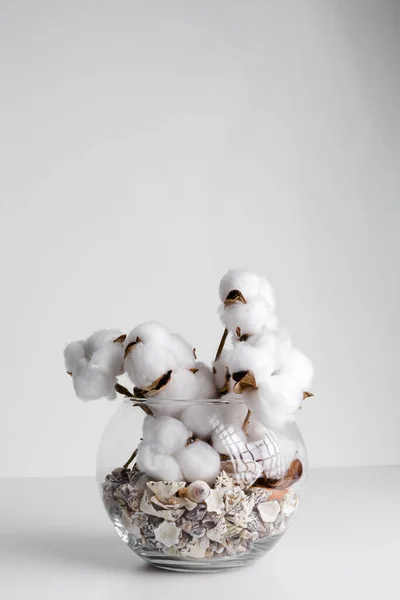 Rama Algodón Recipiente Vidrio Sobre Fondo Blanco Delicadas Flores Algodón — Foto de Stock