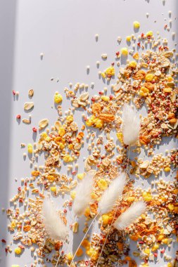 Different sorts of breakfast cereal products. Set with different cereal grains on white background, top view. Sunny breakfast concept.