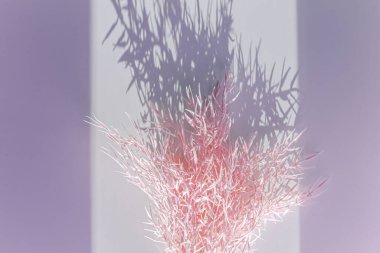 Odaklanamayan merkezi kopyalama alanı olan pampas otunun yüzeysel alan görüntüsü.