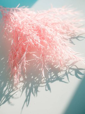 Odaklanamayan merkezi kopyalama alanı olan pampas otunun yüzeysel alan görüntüsü.