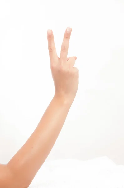 Hand fingers numbers and sing in white background — Stock Photo, Image