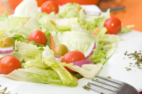 Frischer Salat mit Gemüse — Stockfoto