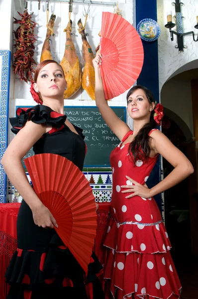 플 라 멩 코 파티에서 스페인 댄서 — 스톡 사진