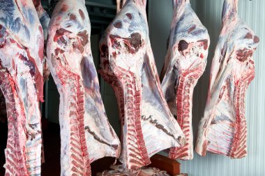 sığır eti yarım taraf Pazar veya mezbaha mevduat