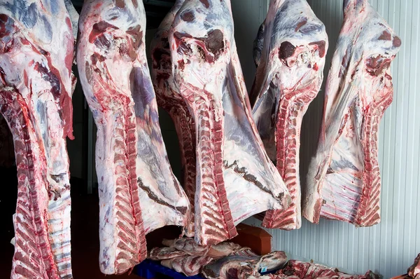 Demi-côtés de bœuf sur le marché ou dépôt d'abattoir — Photo