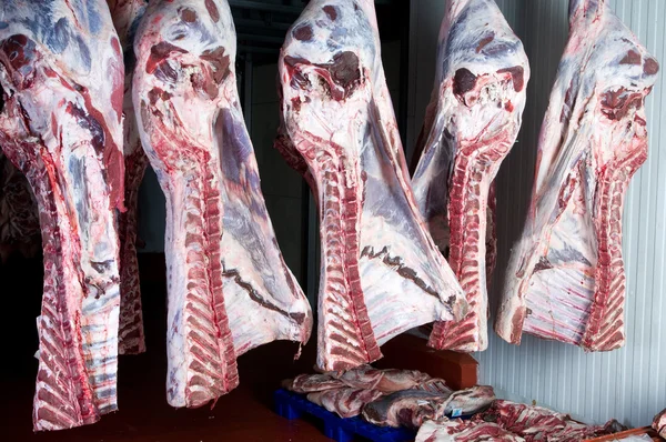 Rundvlees helft zijden in de markt of het slachthuis storting — Stockfoto