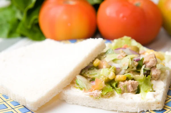 Sanduíche de salada — Fotografia de Stock