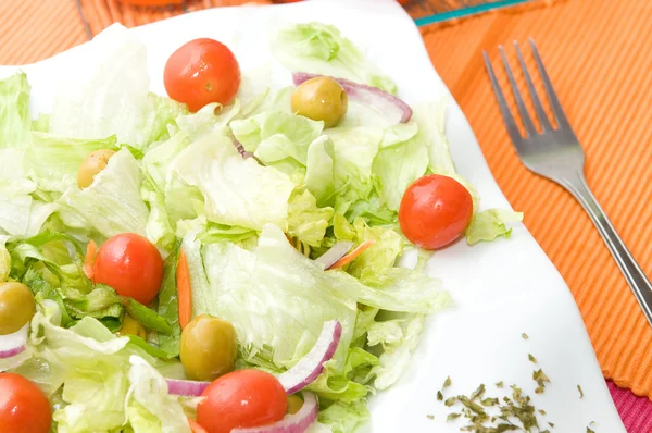 Salada vegetariana — Fotografia de Stock