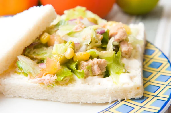 Sandwich salade au thon — Photo