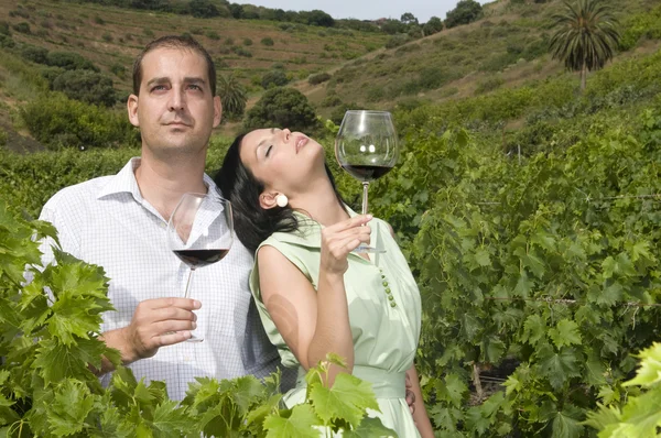 Jeune couple dans un vignoble — Photo