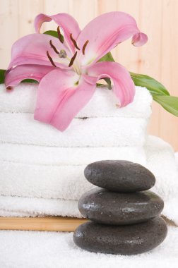Spa ve sağlıklı yaşam çiçeği