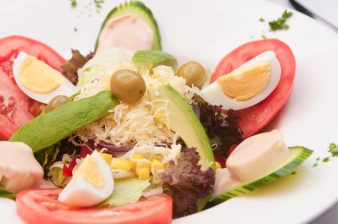 taze Akdeniz salatası