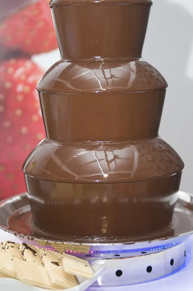 Source of melted chocolate with dipped fruit — Stock Photo, Image