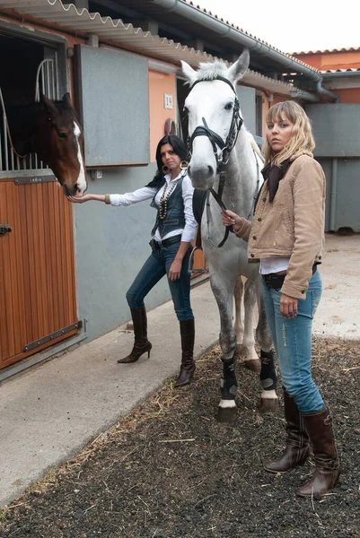 Female Jockeys Arena Preparing Horses Out Trot — Stock Photo, Image