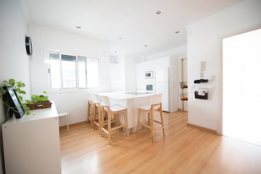 modern kitchen perfectly equipped with its appliances in a house