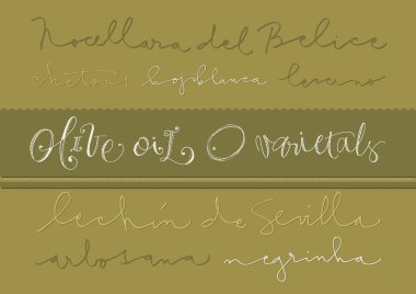 Hand-drawn olive oil varieties clipart