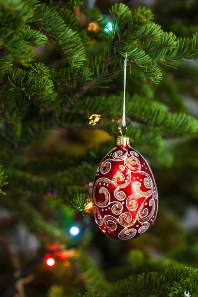 Red christmas ball on firtree — Stock Photo, Image