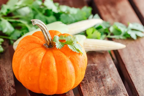 Gele pompoen met groene bladeren en maïs — Stockfoto