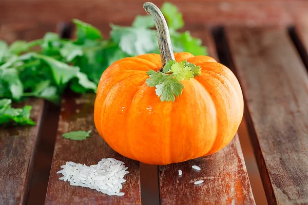 Gul pumpa med gröna blad och ris — Stockfoto