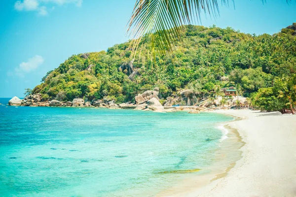 Tropical beach - thailand, koh samui — Stock Photo, Image