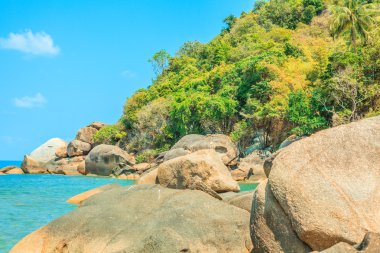tropik sahil - Tayland, koh samui