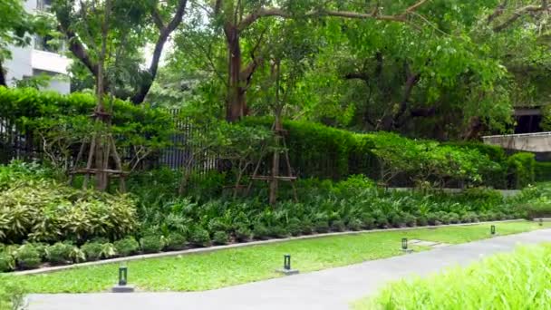Тропічний сад відпочинку, парк з зеленими деревами і пішохідними доріжками в житловому будинку — стокове відео
