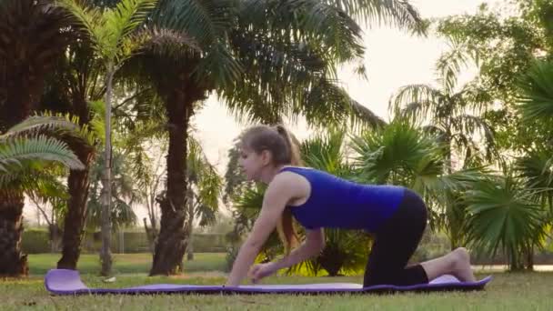 Fitness kobieta robi jeden uzbrojony deska Ćwiczenia na Yoga Mat w parku publicznym — Wideo stockowe