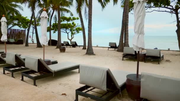 Подорожі під час пандемії. Порожні пляжні ліжка біля моря і пальми — стокове відео