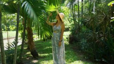 Tropikal yağmur ormanlarında yürüyen, palmiye yaprağına dokunan genç gezgin kadın.