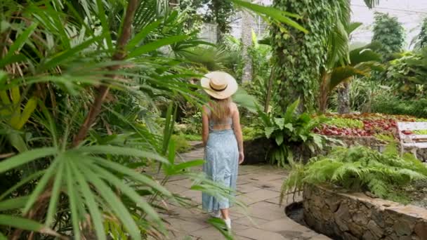 Jeune voyageuse en forêt tropicale marchant, touchant la feuille de palmier — Video