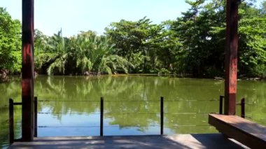 Yeşil tropikal ağaçlar ve göl olan şehir parkında rahatla. Balıklı yeşil gölet