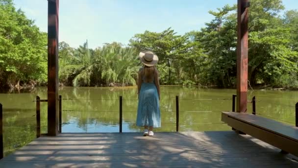 Τροπικές διακοπές. Πίσω όψη του ταξιδιού γυναίκα σε ψάθινο καπέλο στο πάρκο απολαύσετε τη φύση — Αρχείο Βίντεο