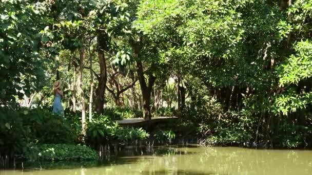 Voyage femme chapeau marche sur le chemin en bois parmi les arbres tropicaux dans le parc de la ville — Video