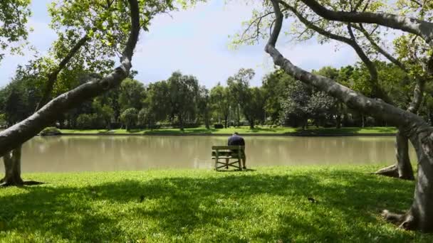 Solidão e depressão. Homem solitário, triste e infeliz sentado no banco no parque — Vídeo de Stock