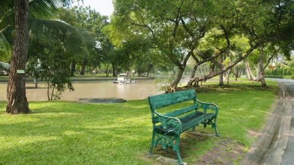Bench on green lawn near lake and tropical palm trees in public city park — Stock Video
