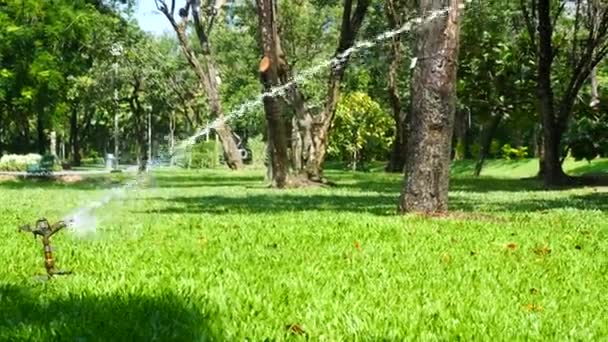 Πάρκο με γκαζόν από πράσινο γρασίδι την ηλιόλουστη μέρα και σύστημα άρδευσης με ψεκαστήρα — Αρχείο Βίντεο
