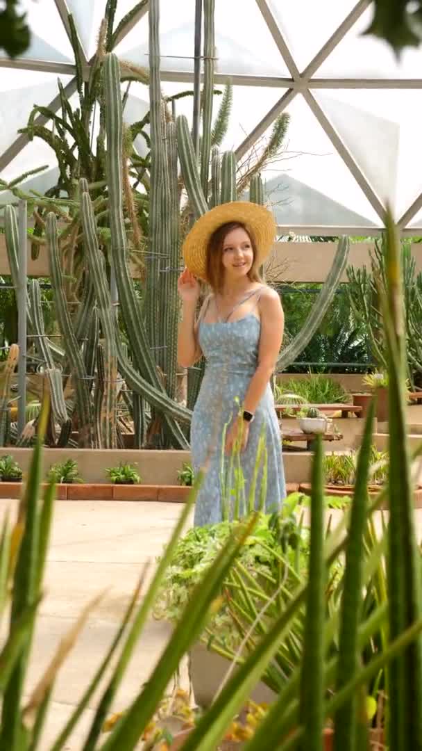 Serre tropicale de cactus. Femme touristique en chapeau de paille marchant dans l'orangerie de verre — Video