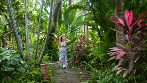 Vacanze tropicali estive. Viaggio donna a piedi nella foresta pluviale esotica con palme — Video Stock