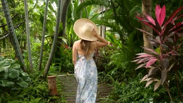 Tourist woman walking on path with green jungle trees and palms, forró nyári nap — Stock videók