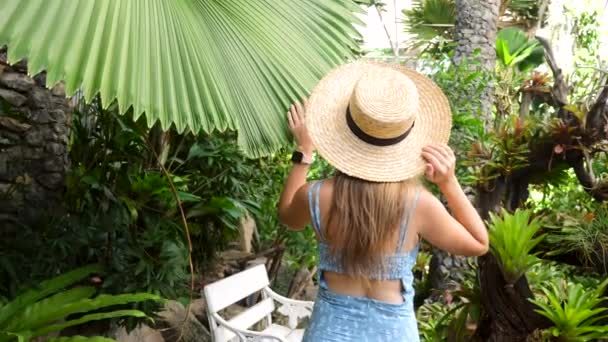 緑のジャングルの木々やヤシの木、暑い夏の日のパス上を歩く観光客の女性 — ストック動画