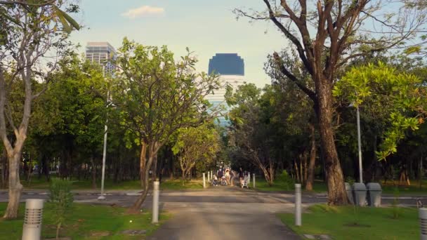 Caminho no parque da cidade com árvores verdes e grama e arranha-céus modernos edifícios — Vídeo de Stock