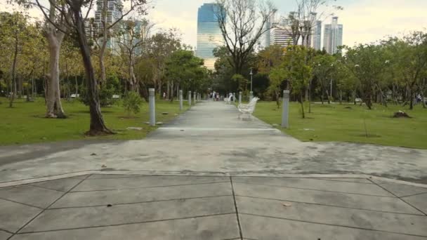 Relax in green city park with modern skyscrapers buildings on background — Stock Video