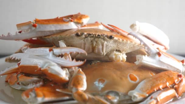 Primo piano di crostacei interi cotti al vapore granchio nuoto blu sul piatto con vapore — Video Stock