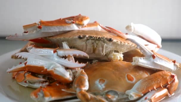 Close up of cooked steamed whole blue swimming crabs on plate with steam — Stock Video